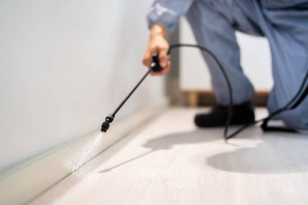 Licensed Pest Control service in Benton Heights, MI - Show Me Pest Control