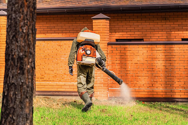 Top rated local Mosquito Control specialists in Benton Heights, MI